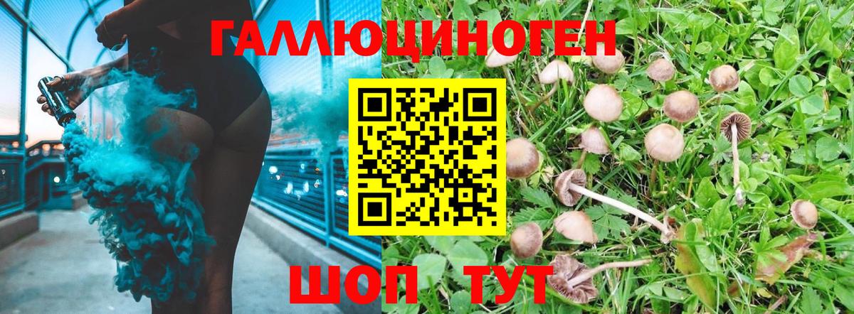 цены наркотик  Галлюциногенные грибы ЛСД  Димитровград  Вход с VPN  Галлюциногенные грибы GOLDEN TEACHER 