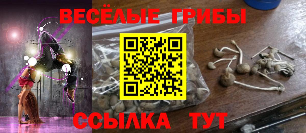Псилоцибиновые грибы Magic Shrooms Димитровград
